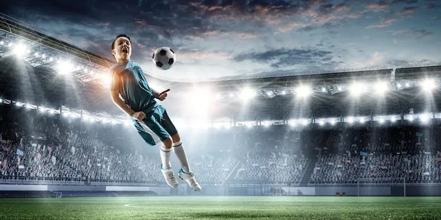 平台产品体验图